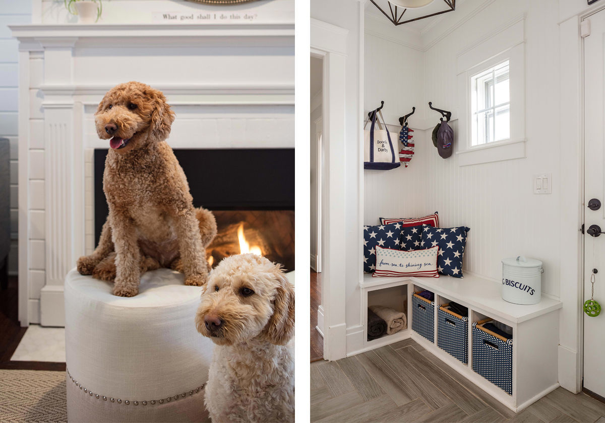 NB-living-room-dogs